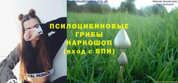 прущий лед Беломорск