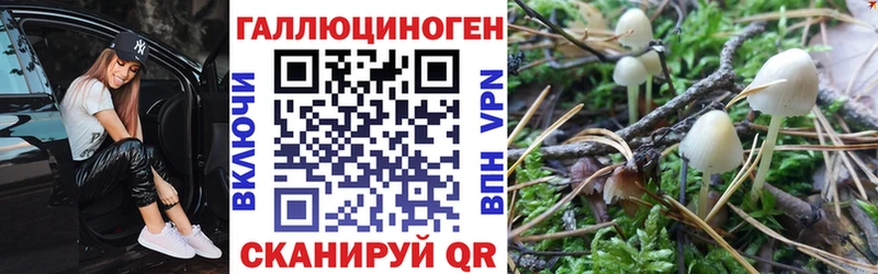 Галлюциногенные грибы MAGIC MUSHROOMS  закладка  Сычёвка 